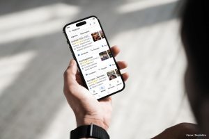 lokalni seo serviatica 1